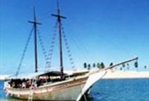 Boat Trip - Sao Francisco River Nature Sanctuary